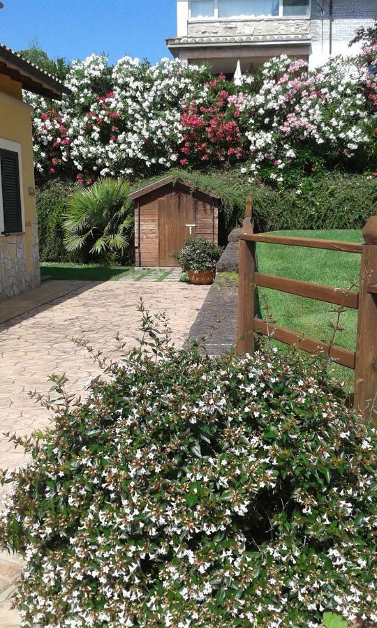 L'Infinito Bed & Breakfast Carbognano Luaran gambar