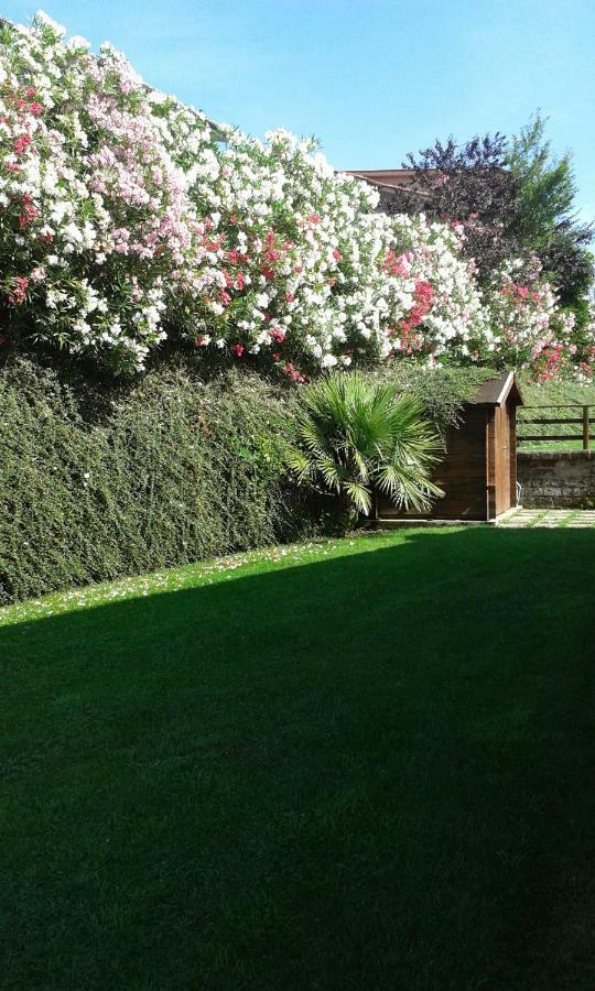 L'Infinito Bed & Breakfast Carbognano Luaran gambar